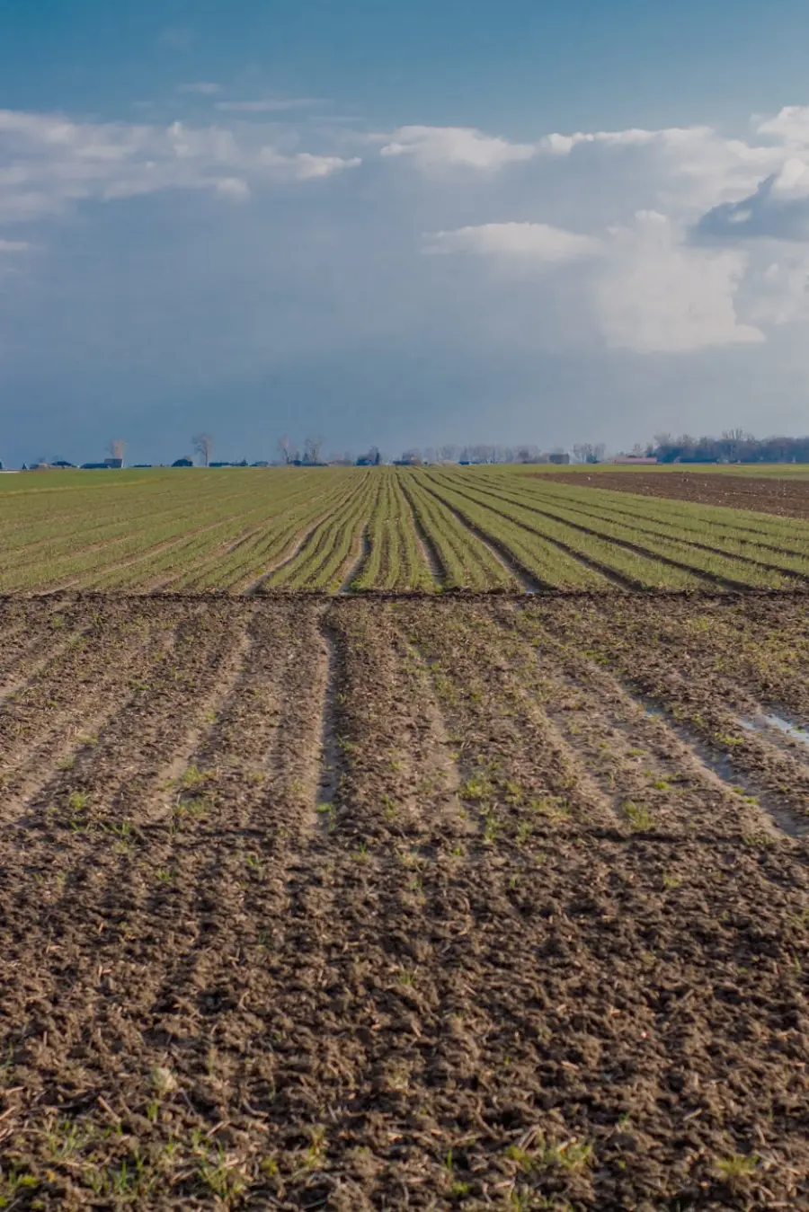 Catania, pubblicata la graduatoria provvisoria per operaio agricolo specializzato