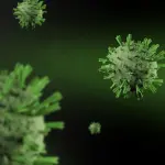 Hantavirus Andes, la Sicilia indica due laboratori per i test