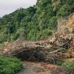 Mandanici, via ai lavori contro le frane nel versante di San Giorgio
