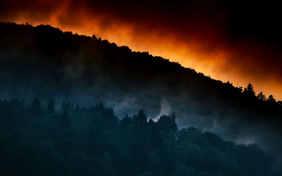 Sicilia, 1.500 operatori formati per l'antincendio boschivo