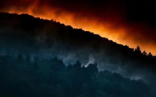 Sicilia, 1.500 operatori formati per l'antincendio boschivo