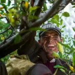 Lavoratori agricoli stagionali, la Sicilia investe in alloggi dignitosi: quasi 8 milioni per superare i ghetti rurali