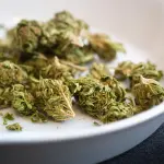 Messina, droga in casa: arrestato 22enne. Sequestrati marijuana, hashish e funghi allucinogeni.